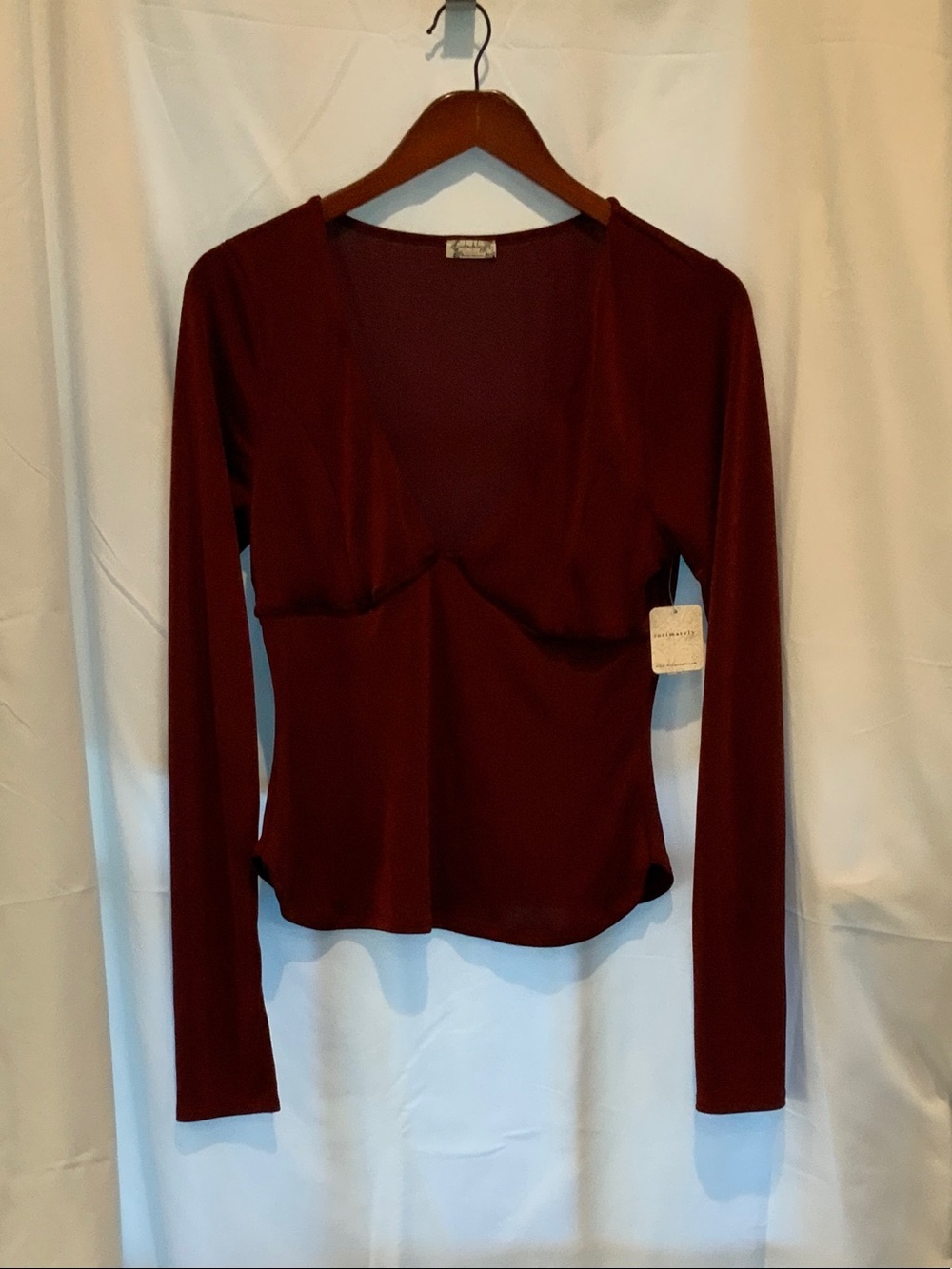 Free People Deep Burgundy Long-Sleeve V-Neck Top